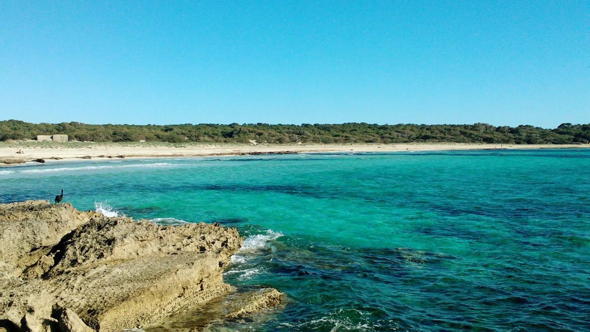 Apartamento Sand - Enjoytheseaincolonia We Rent From Sat To Sat, Except Winter Colonia de Sant Jordi
