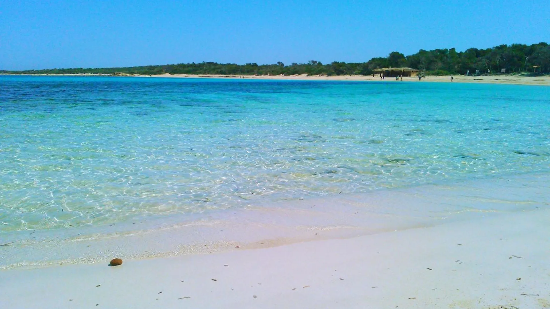 דירה קולוניה סנט ג'ורדי Sand - Enjoytheseaincolonia We Rent From Sat To Sat, Except Winter